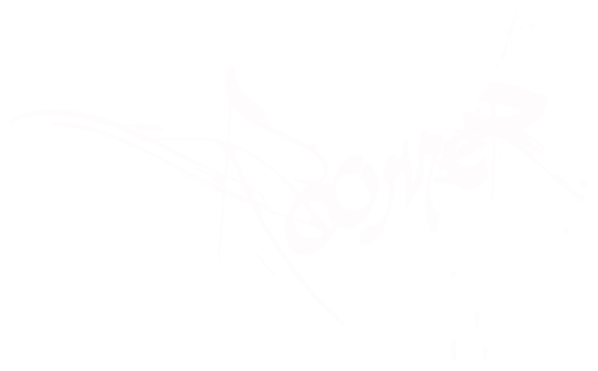 ROOMER